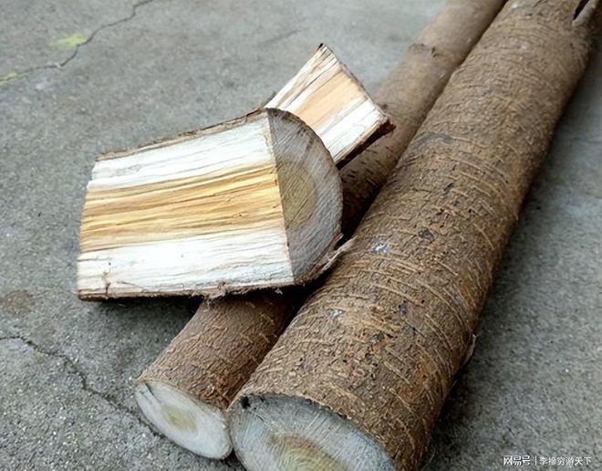 古代弓弩射程较远威力十足选材制作与调试有啥门道？