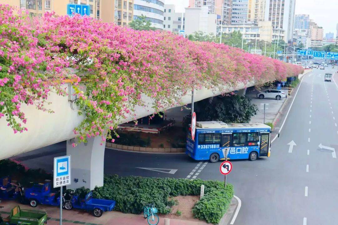 谢谢每一位平凡坚守的你！